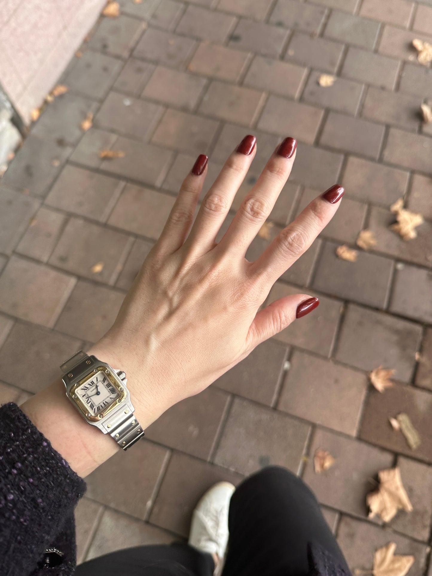 Garnet Glow - Dark Red Press-On Nails